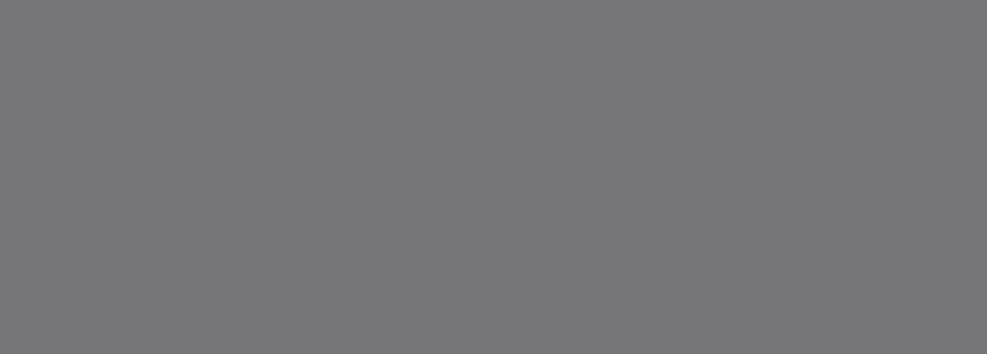 Керамическая плитка Foresta Silver 24.2x70 Керамическая плитка Foresta Silver 24.2x70