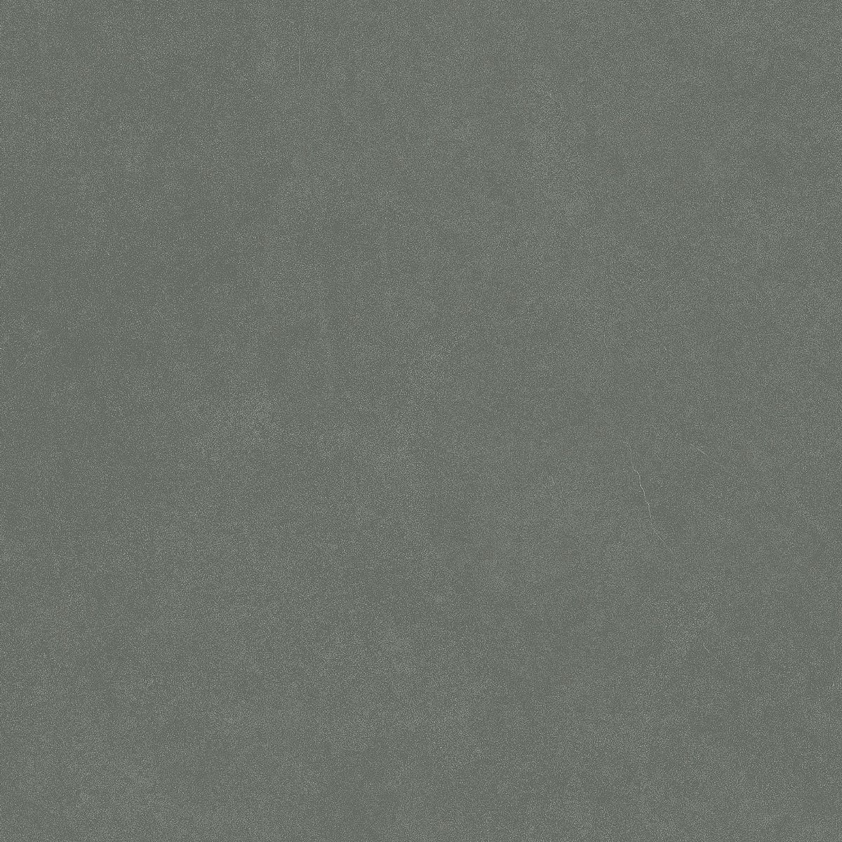 Керамогранит Monotone Juniper Matt 20x20 Керамогранит Monotone Juniper Matt 20x20