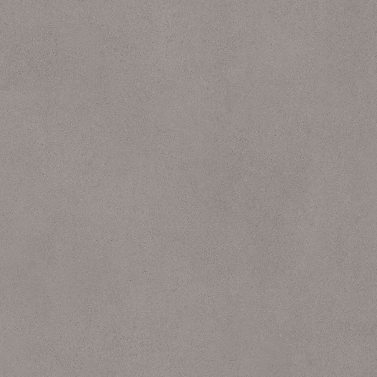 Керамогранит Cava Grey 60x60 Керамогранит Cava Grey 60x60