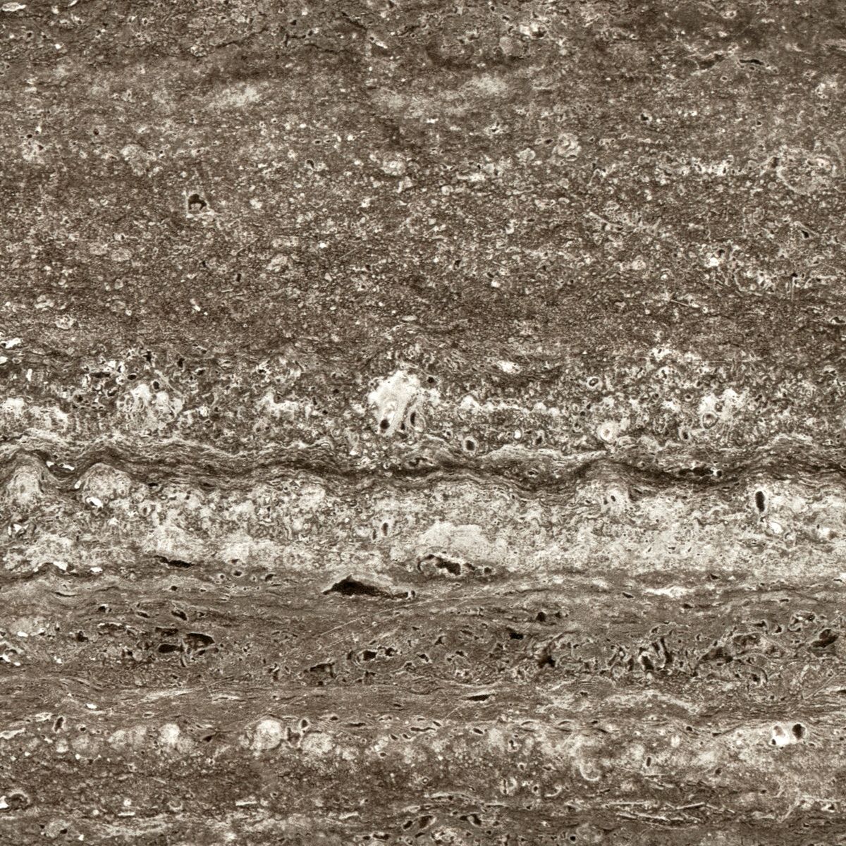 Керамогранит Concept Asian Nero Polished 60x120 Керамогранит Concept Asian Nero Polished 60x120