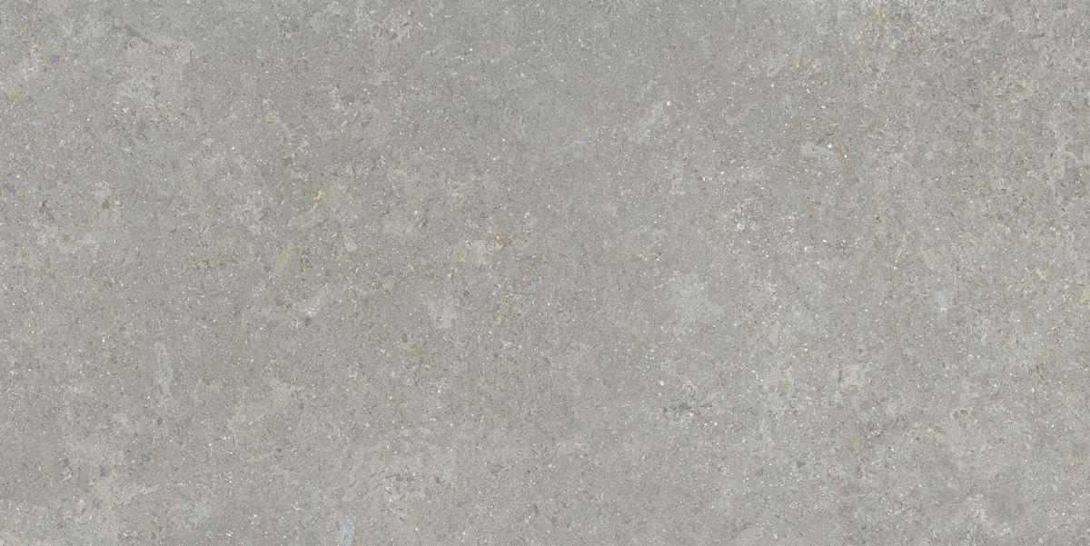 Керамогранит Sandstone Серый Матовый 60x120 Керамогранит Sandstone Серый Матовый 60x120