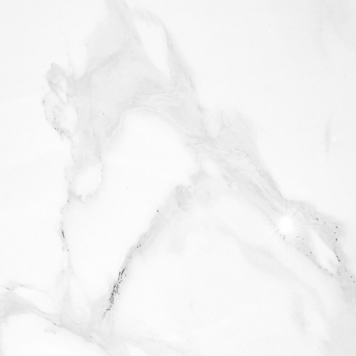 Керамогранит Concept Venus Bianco Polished 60x120 Керамогранит Concept Venus Bianco Polished 60x120