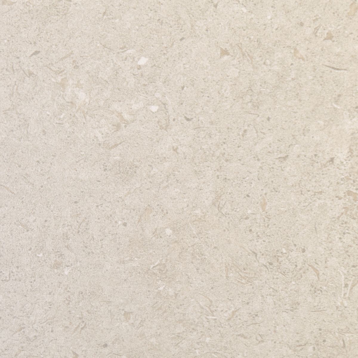 Керамогранит Ulisse Beige Matt. 60x120 Керамогранит Ulisse Beige Matt. 60x120