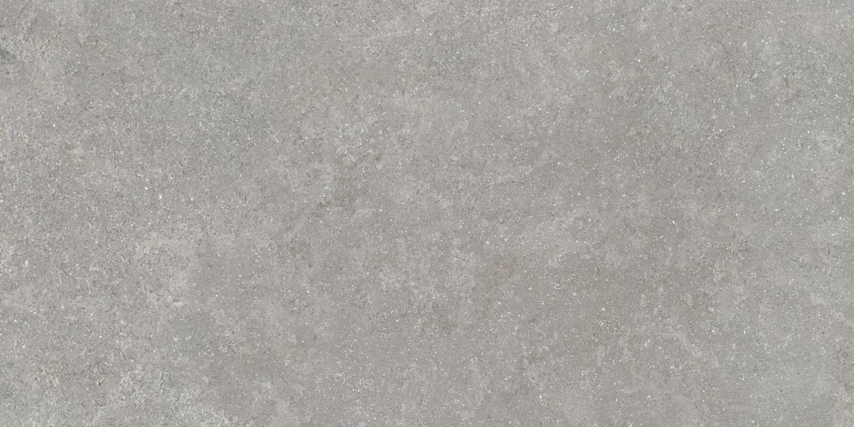 Керамогранит Sandstone Серый Матовый 60x120 Керамогранит Sandstone Серый Матовый 60x120