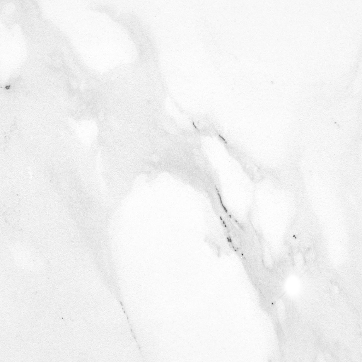 Керамогранит Concept Venus Bianco Polished 60x120 Керамогранит Concept Venus Bianco Polished 60x120