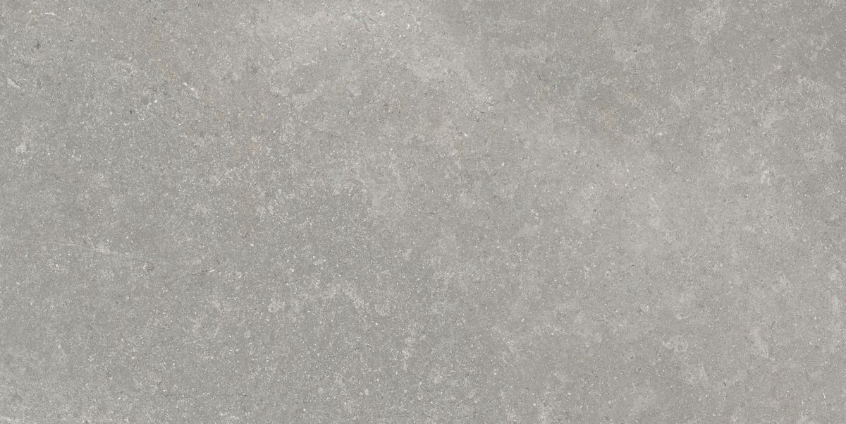 Керамогранит Sandstone Серый Матовый 60x120 Керамогранит Sandstone Серый Матовый 60x120