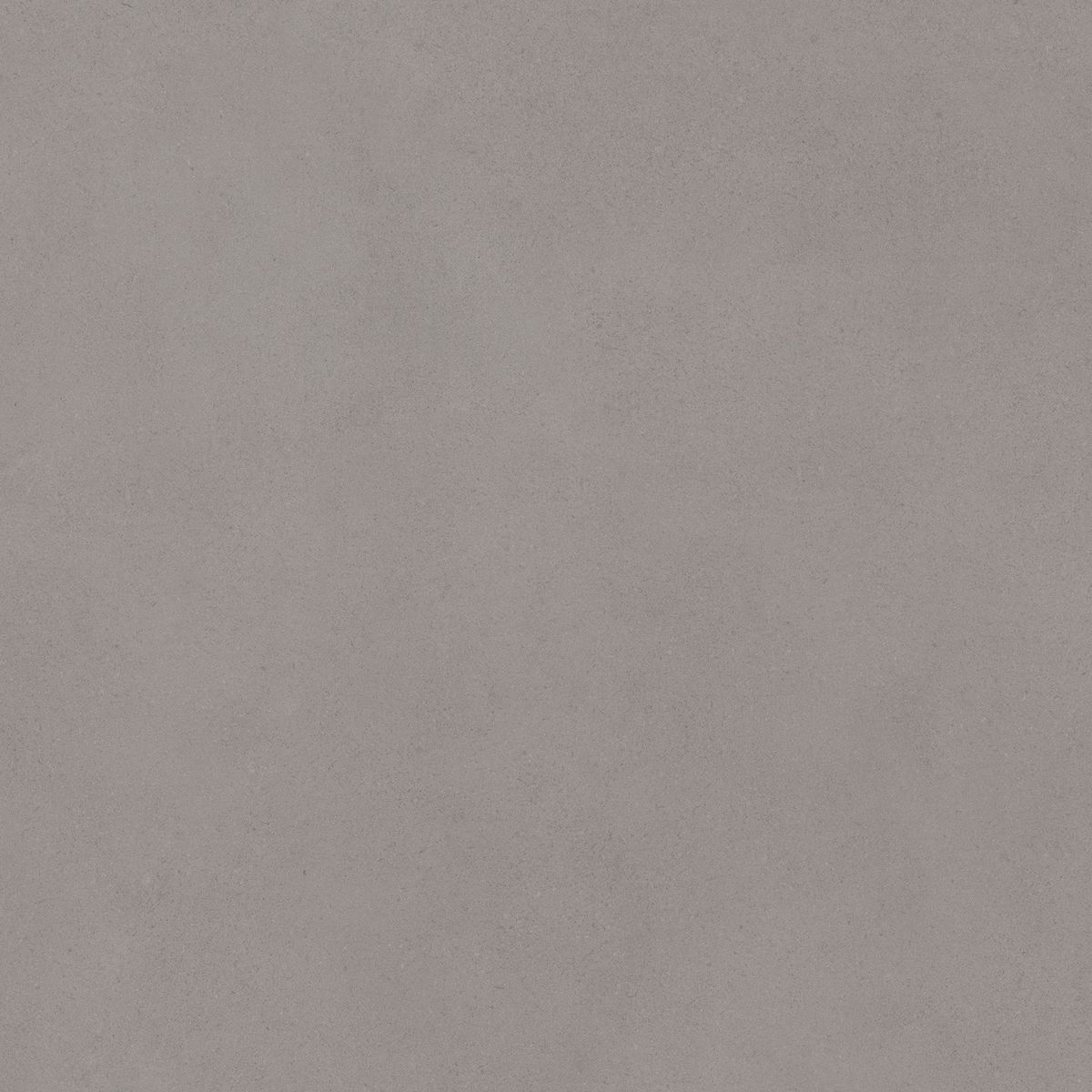 Керамогранит Cava Grey 60x60 Керамогранит Cava Grey 60x60