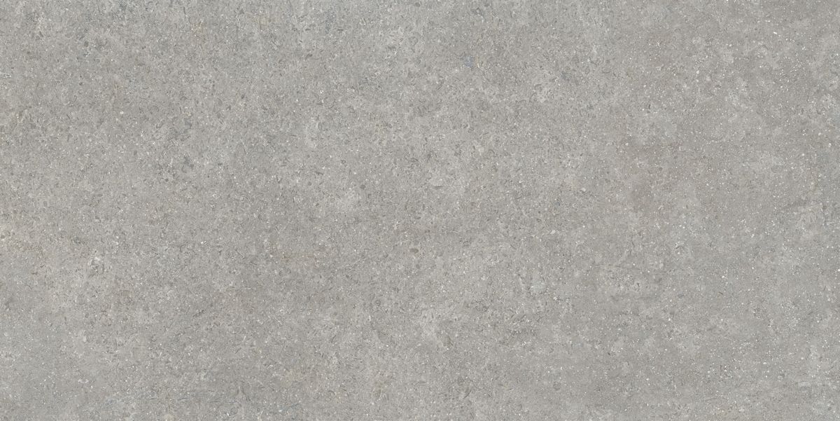 Керамогранит Sandstone Серый Матовый 60x120 Керамогранит Sandstone Серый Матовый 60x120