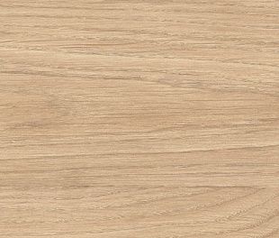 Керамическая плитка Calacatta Oro Oro Wood 24.2x70