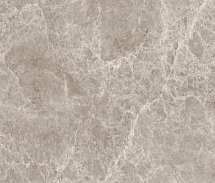 Керамогранит Emperador Gris Polished 80x160