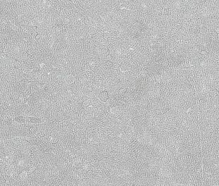 Керамогранит Noon Grey Anti-Slip 30x60