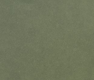 Керамогранит Forest Matt 20x20