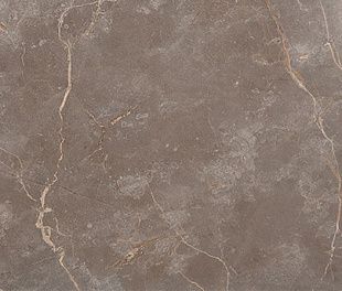 Керамическая плитка Roma Stone Wall Tiles Pietra Brown Matt 80x160