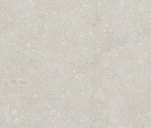 Керамогранит Noon Санд Софт 30x60
