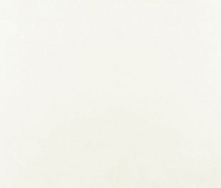 Керамогранит Super White Matt 60x120