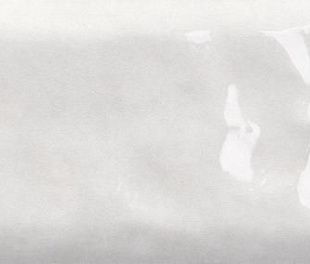 Керамогранит White Glossy 6x25