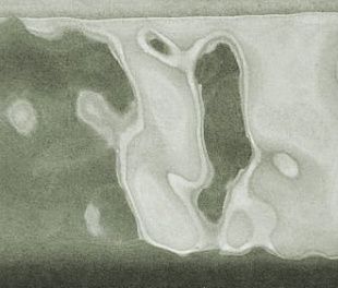 Керамогранит Forest Glossy 6x25