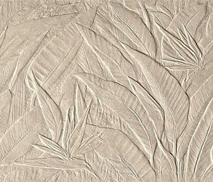 Керамическая плитка Nobu  Litia Grey Matt  50x120