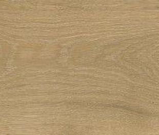 Керамогранит Kora Коньяк 22.5x160