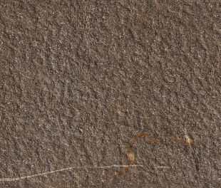 Керамогранит Contempora Burn Grip 30x60