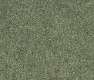 Керамогранит Forest Matt 6x25