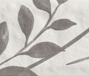 Керамогранит Dimgrey Decor 1 Matt 6x25
