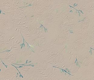 Керамическая плитка True Color Wind Flower 50x120 50x120