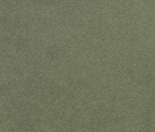 Керамогранит Forest Matt 20x20