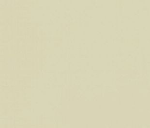 Керамогранит Spring Matt 60x120