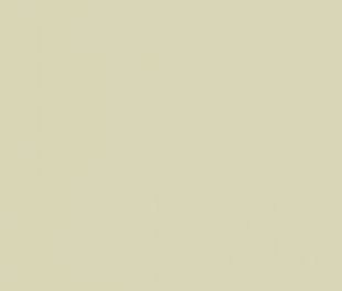 Керамогранит Spring Matt 60x120