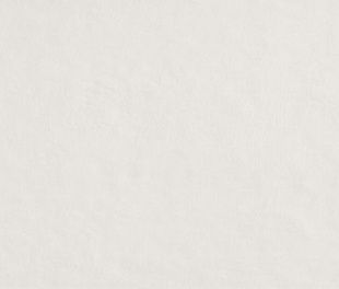 Керамическая плитка Milano Mood Ghiaccio Matt 50x120