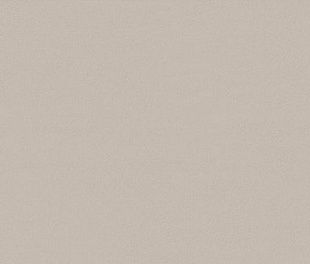 Керамическая плитка True Color Fossil 50x120 50x120